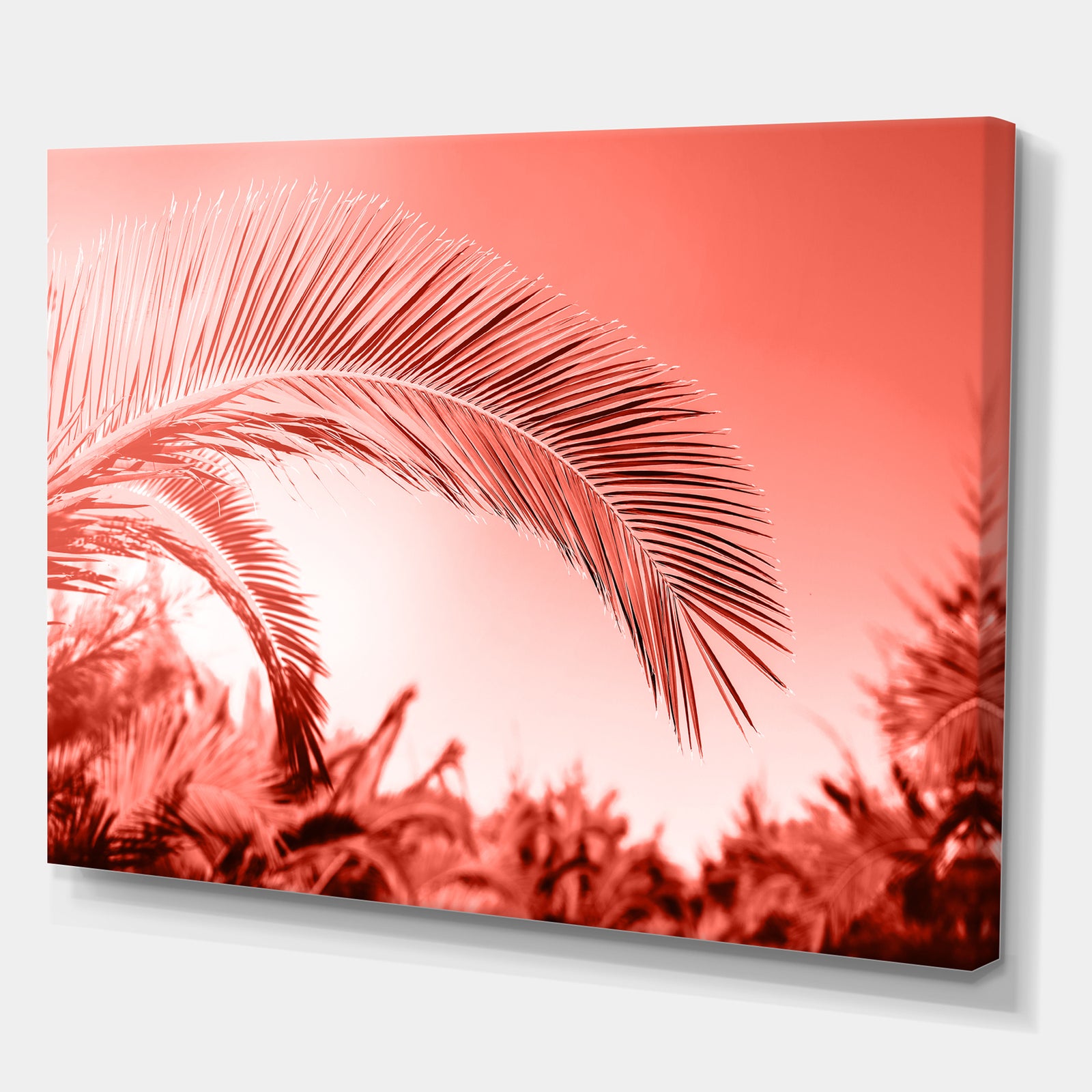 Living Coral l - Tropical Canvas Wall Art