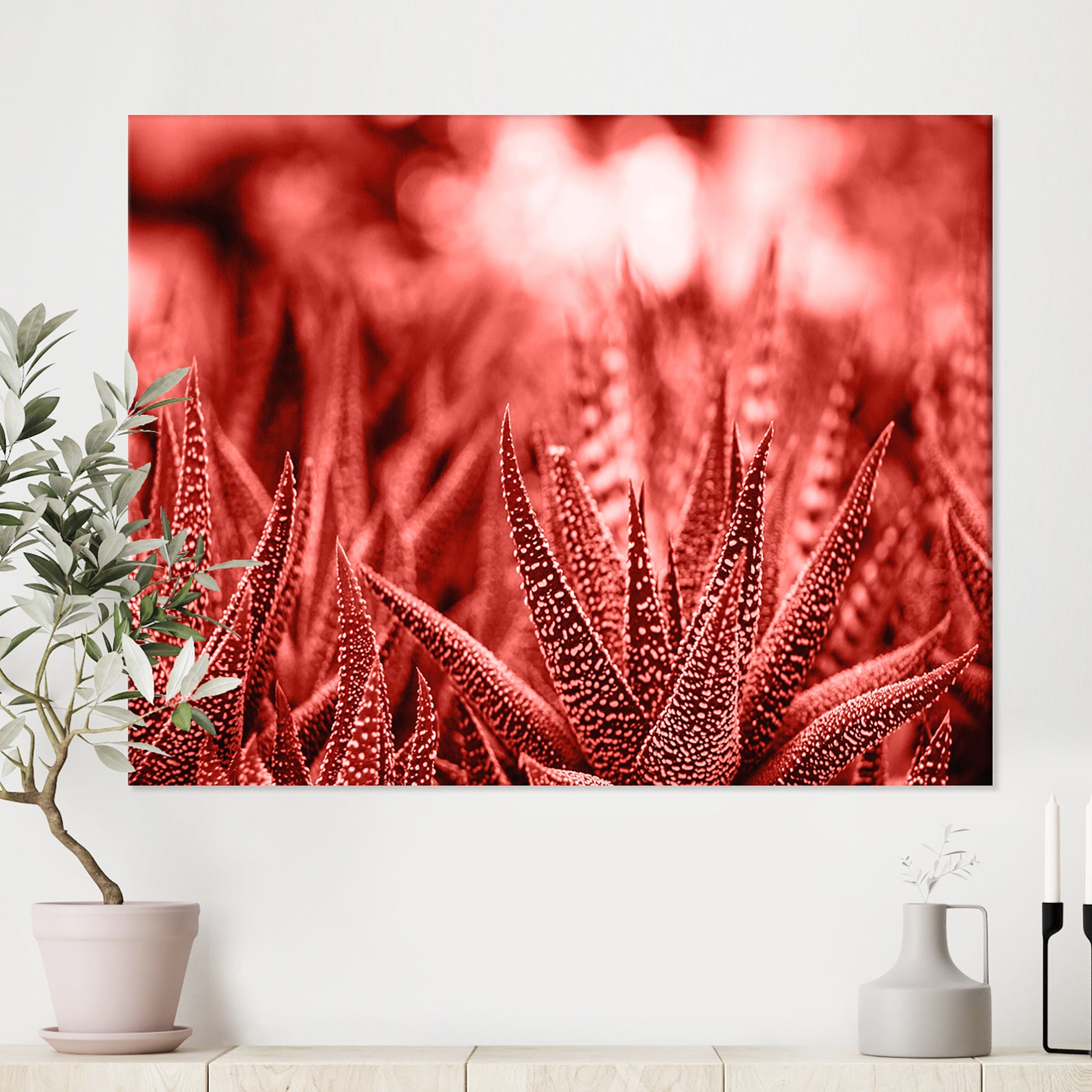 Cactus Haworthia - Tropical Canvas Wall Art