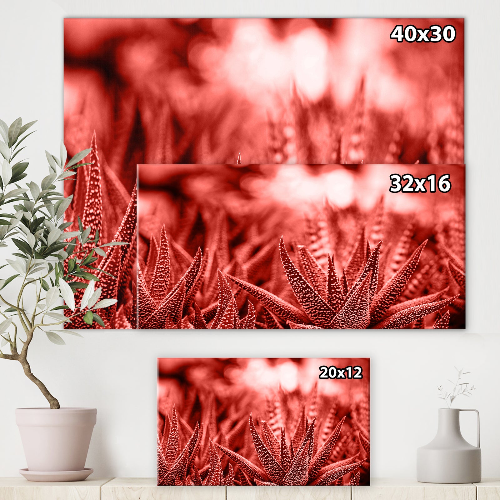Cactus Haworthia - Tropical Canvas Wall Art