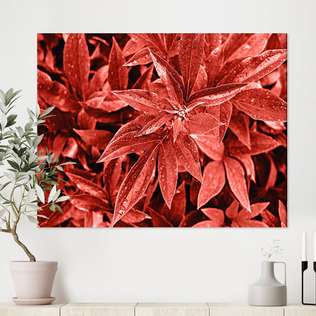 Colored fresh peony leaves with dew - Tropical Canvas Wall Art