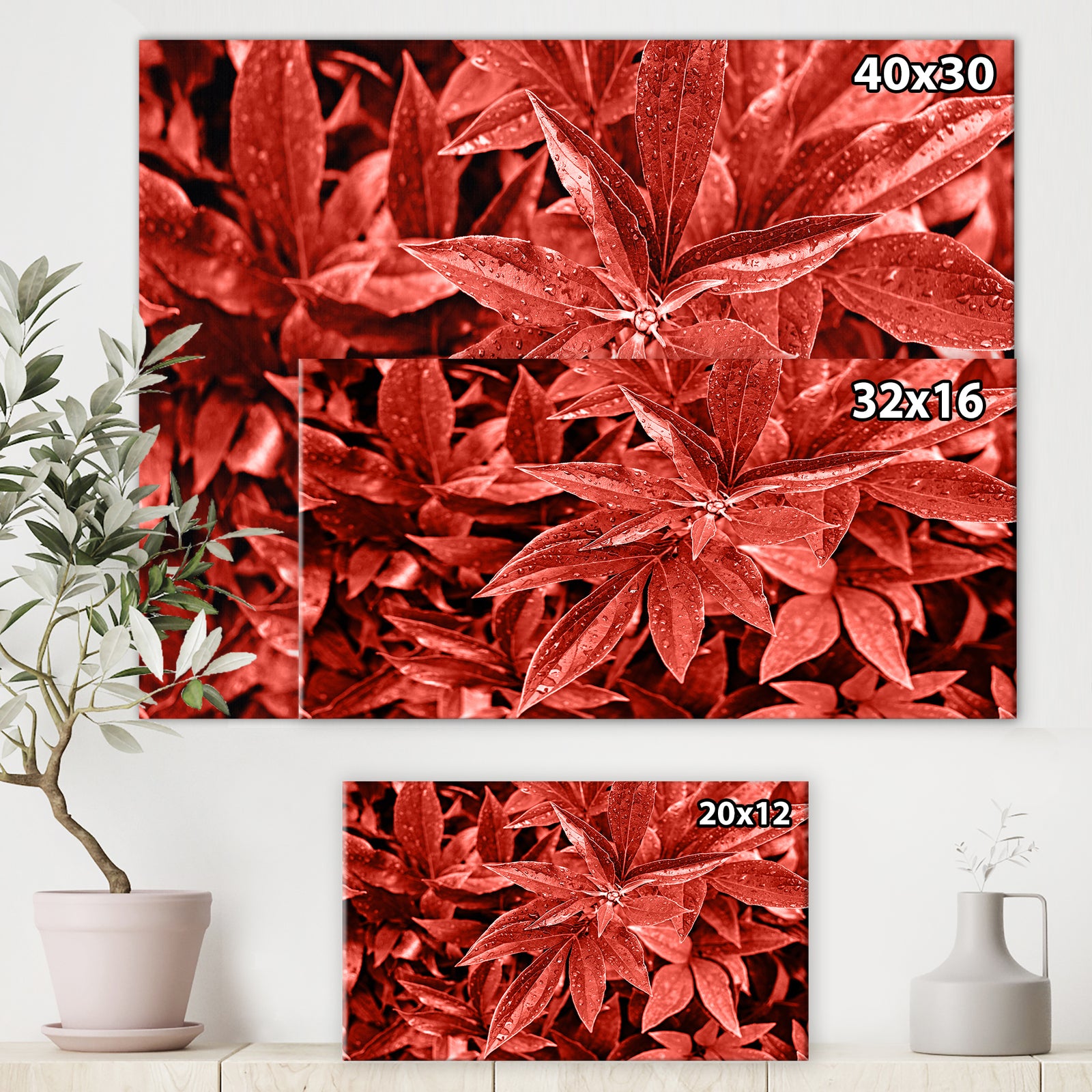 Colored fresh peony leaves with dew - Tropical Canvas Wall Art