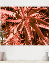 Succulent cactus plant part close up under the sunlight sky - Tropical Canvas Wall Art
