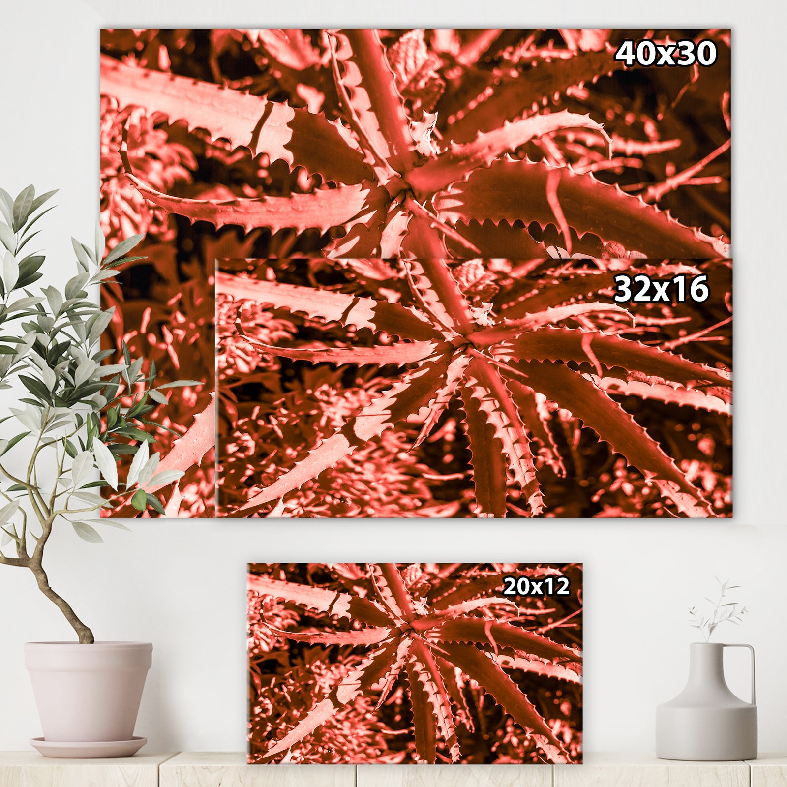 Succulent cactus plant part close up under the sunlight sky - Tropical Canvas Wall Art