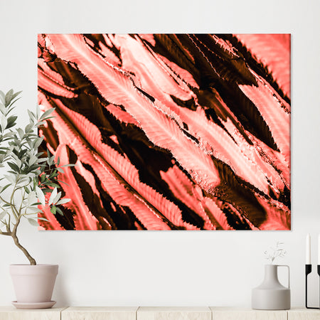 Succulent cactus plant part close up under the sunlight sky l - Tropical Canvas Wall Art