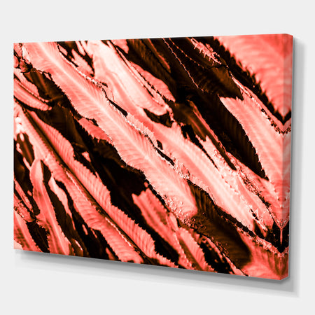 Succulent cactus plant part close up under the sunlight sky l - Tropical Canvas Wall Art