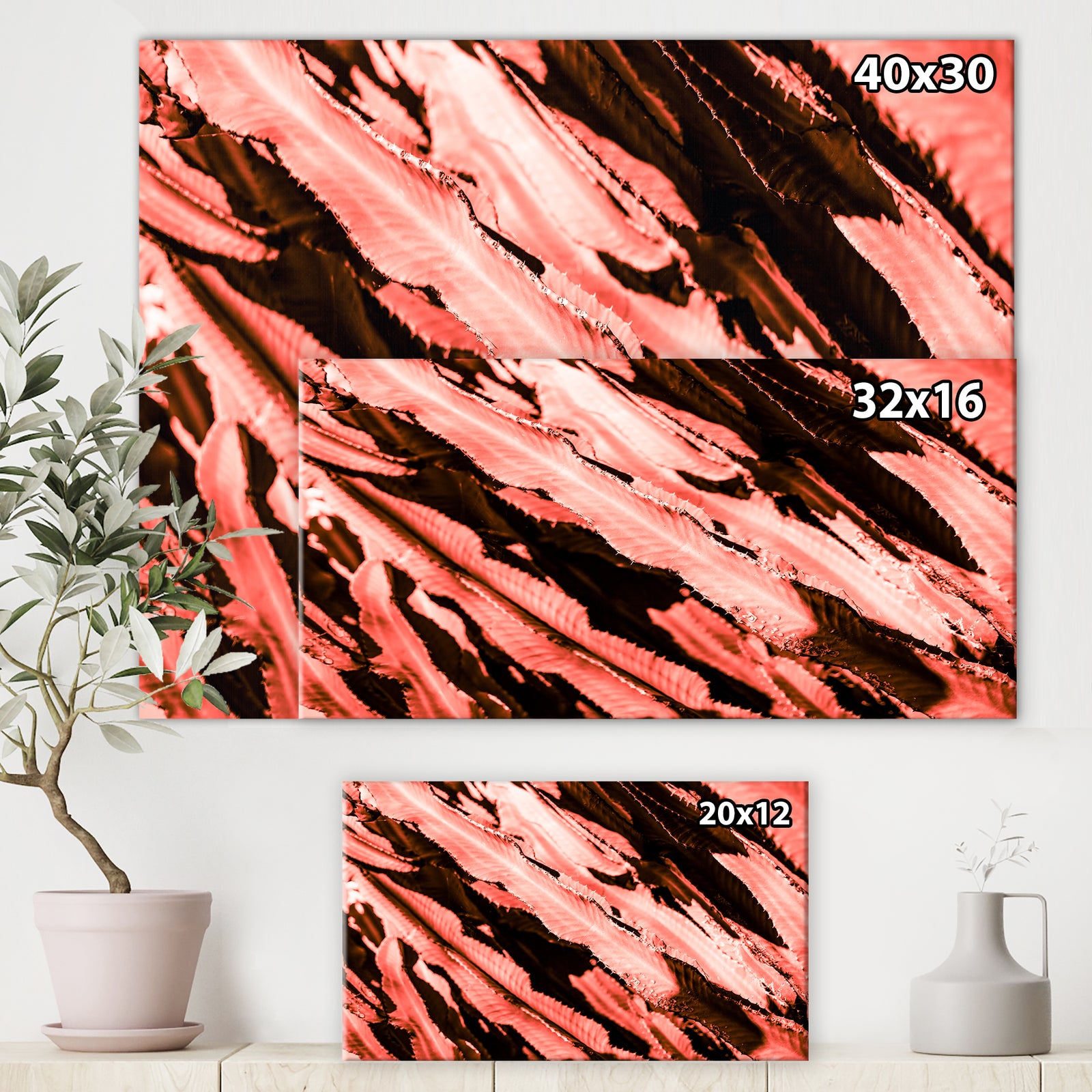 Succulent cactus plant part close up under the sunlight sky l - Tropical Canvas Wall Art