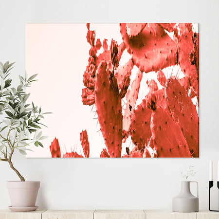 Succulent cactus plant part close up under the sunlight sky ll - Tropical Canvas Wall Art