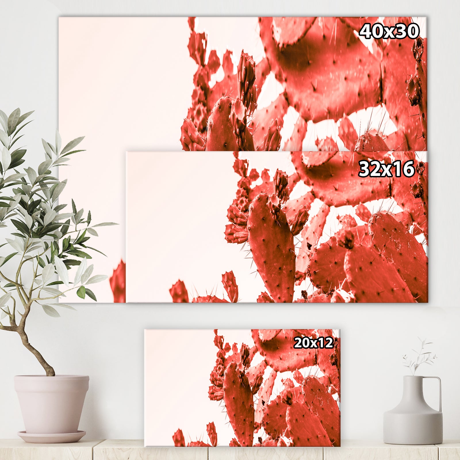 Succulent cactus plant part close up under the sunlight sky ll - Tropical Canvas Wall Art