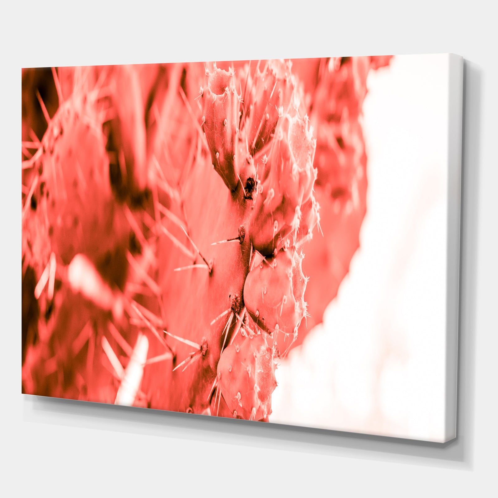 Succulent cactus plant toned in living coral color - Tropical Canvas Wall Art