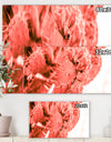 Succulent cactus plant toned in living coral color - Tropical Canvas Wall Art