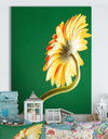 Gerbera flower on green - Cottage Canvas Wall Art