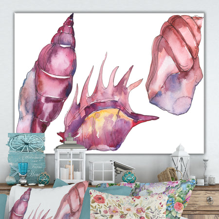 Purple marine tropical seashell l - Cottage Canvas Wall Art