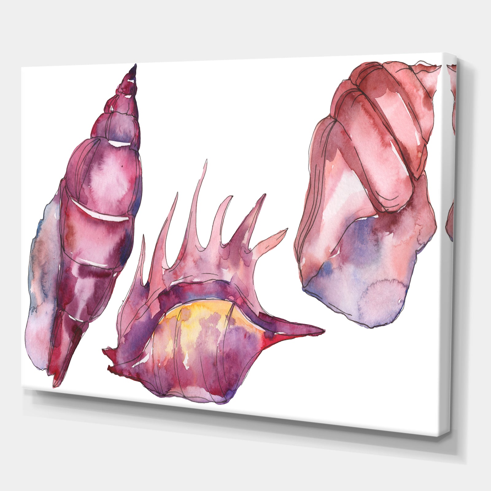 Purple marine tropical seashell l - Cottage Canvas Wall Art