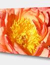 Peony - Cottage Canvas Wall Art