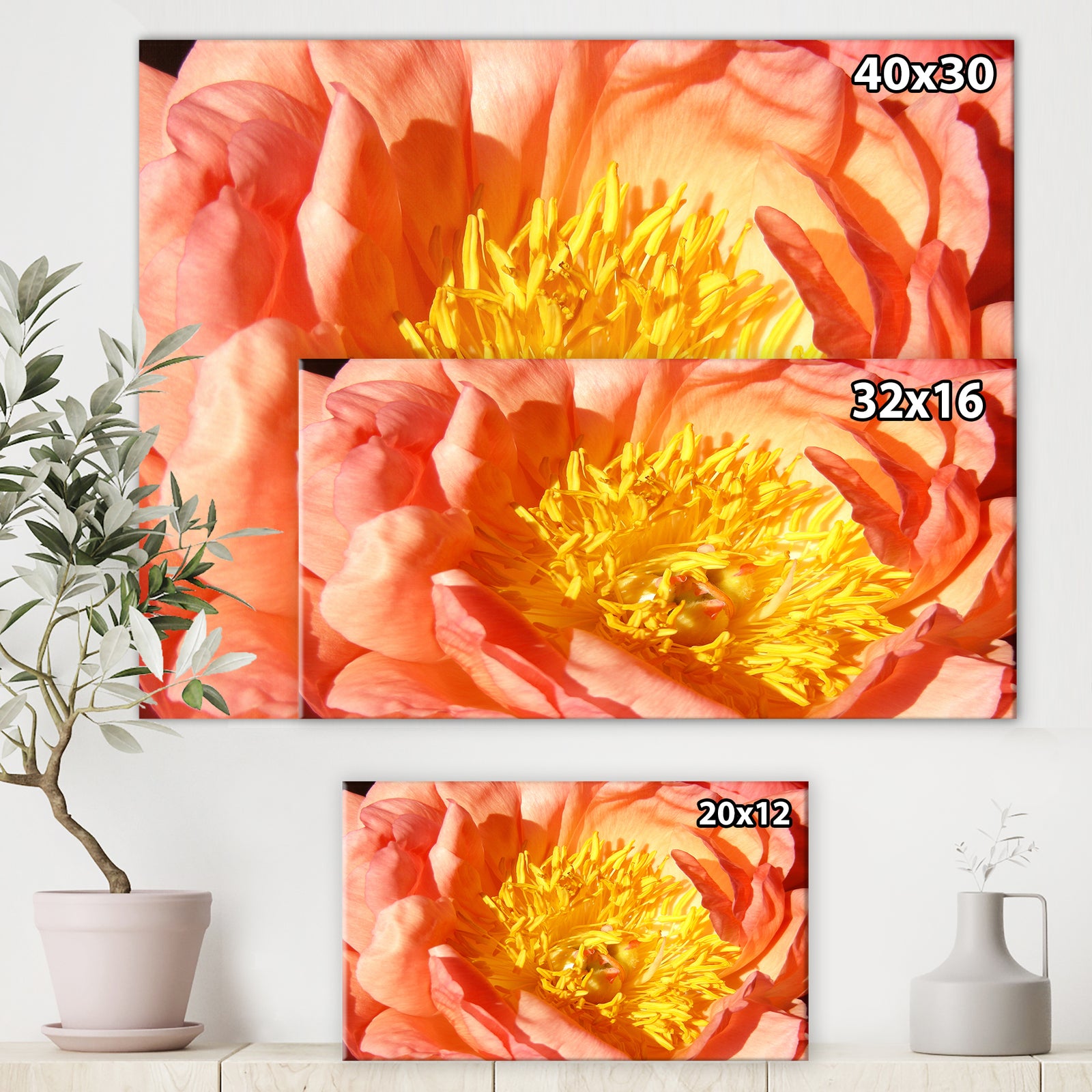 Peony - Cottage Canvas Wall Art