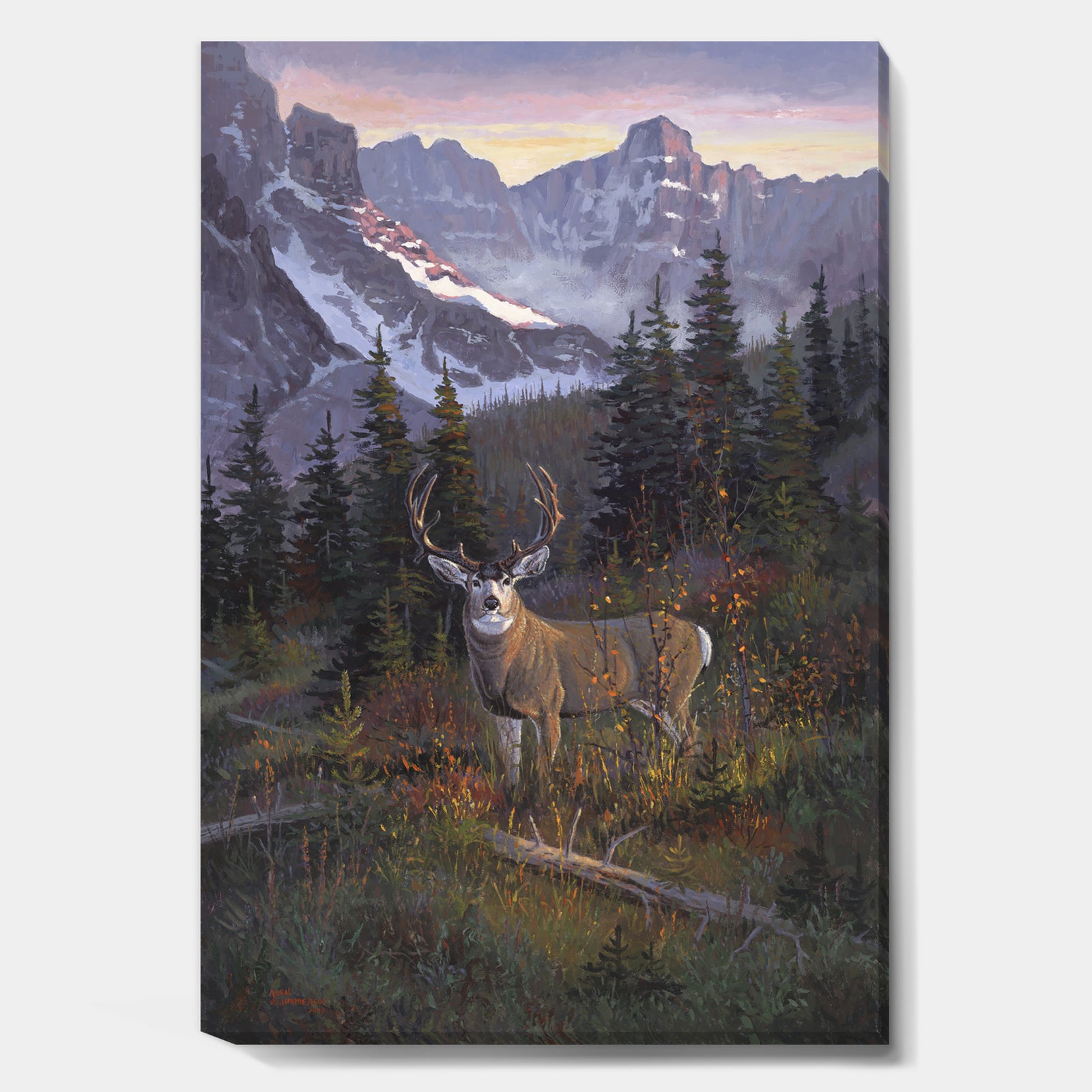 High Country Muley - Traditional Canvas Artwork