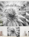 Monochrome Flower 78 - Cottage Canvas Wall Art