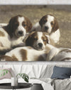 Three Sweet Little Puppies - Traditional Gallery-wrapped Canvas