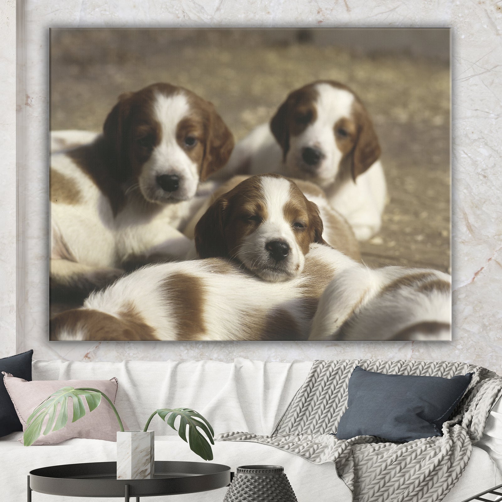 Three Sweet Little Puppies - Traditional Gallery-wrapped Canvas