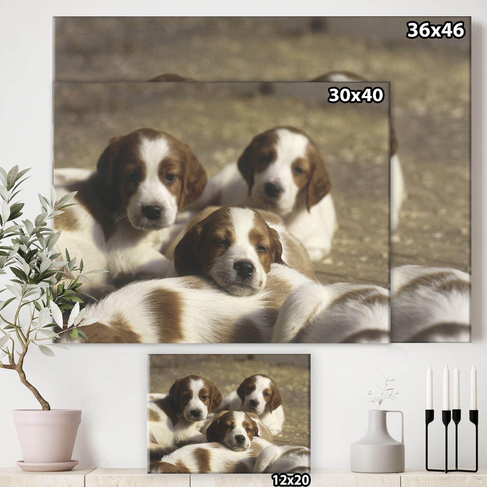 Three Sweet Little Puppies - Traditional Gallery-wrapped Canvas