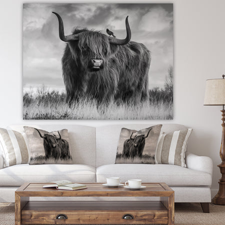 Longhaired Scottish Bull - Cottage Canvas Art Print