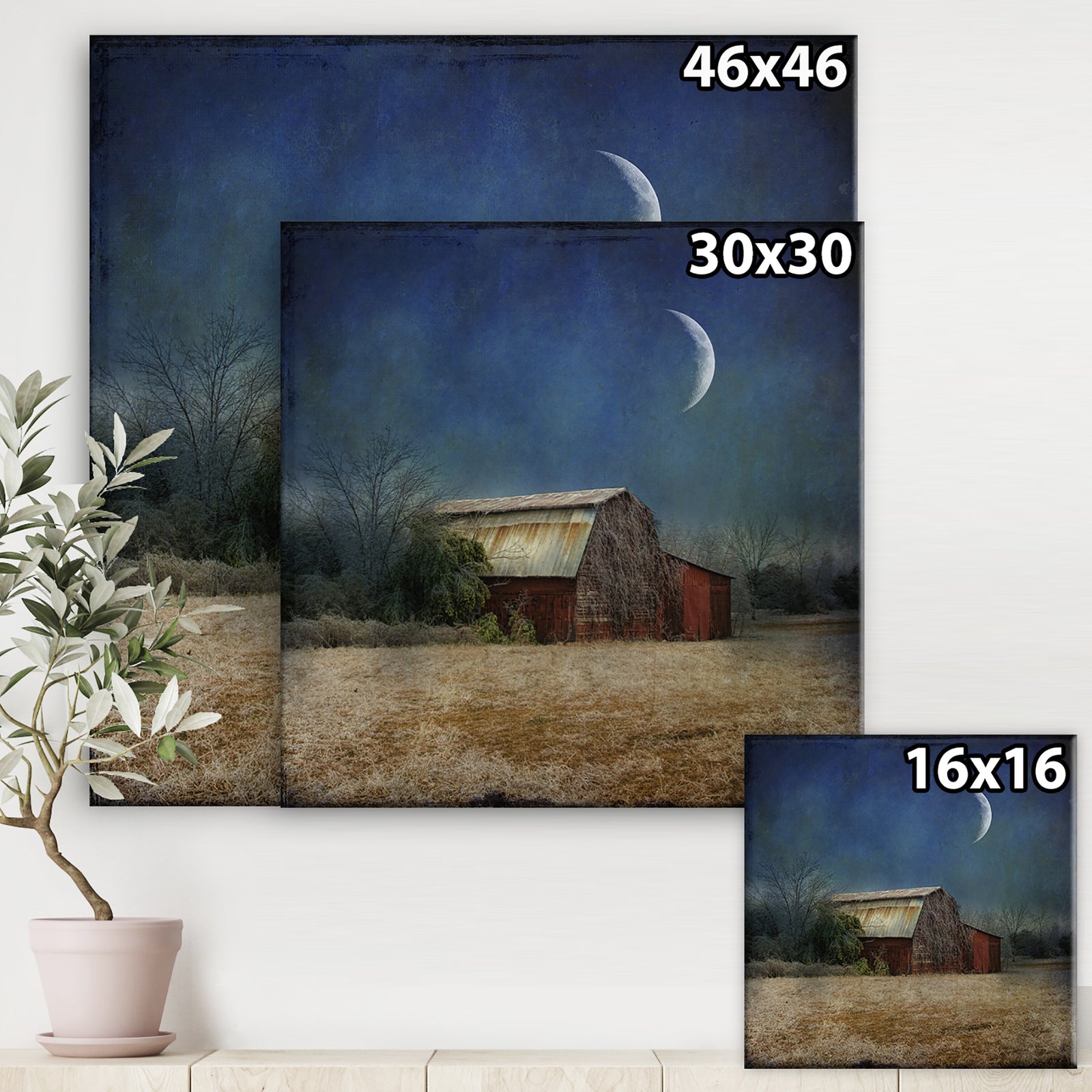 In the Land of Cotton - Farmhouse Canvas Wall Art