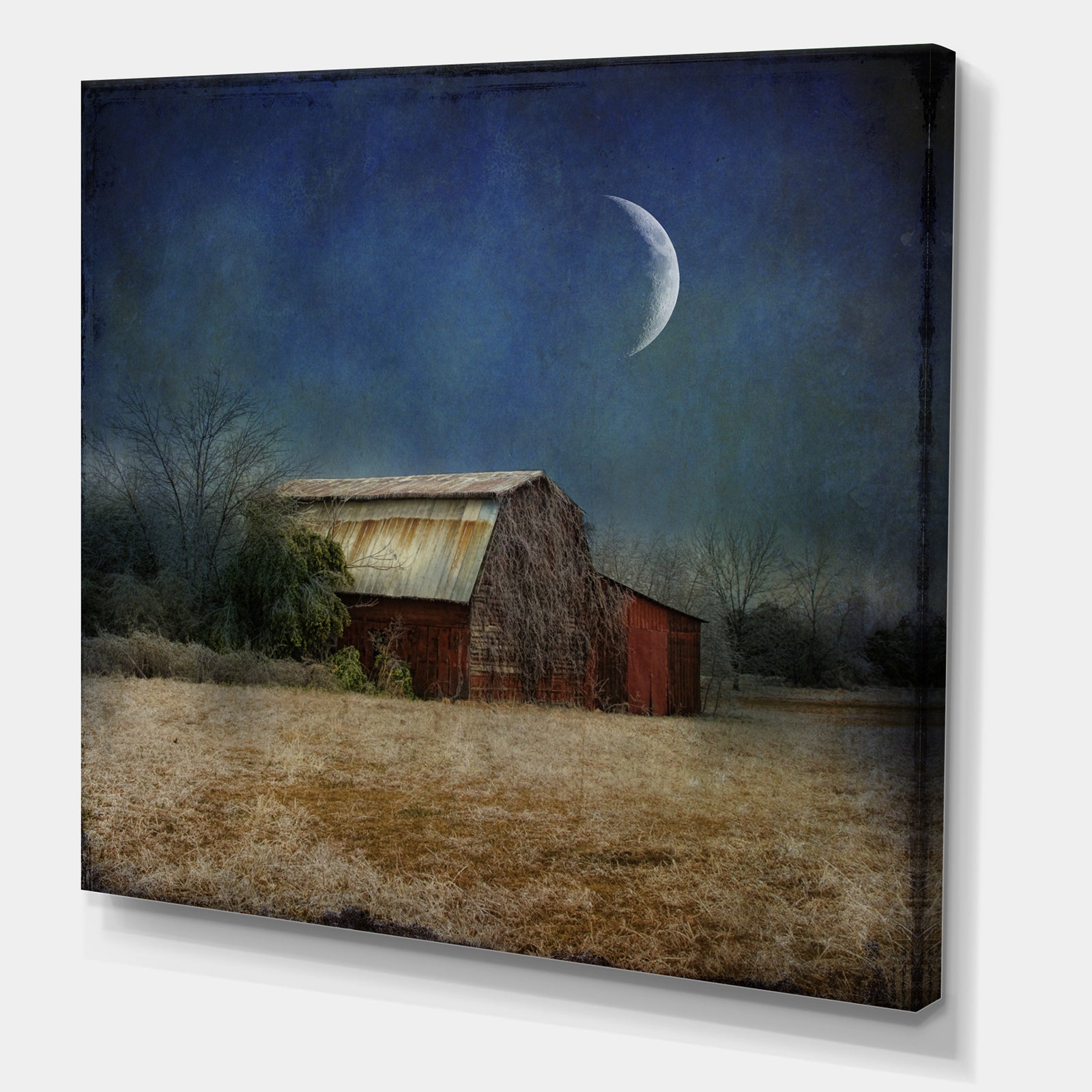 In the Land of Cotton - Farmhouse Canvas Wall Art