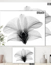 Dendrobium On Back X-Ray Orchid - Cottage Premium Canvas Wall Art