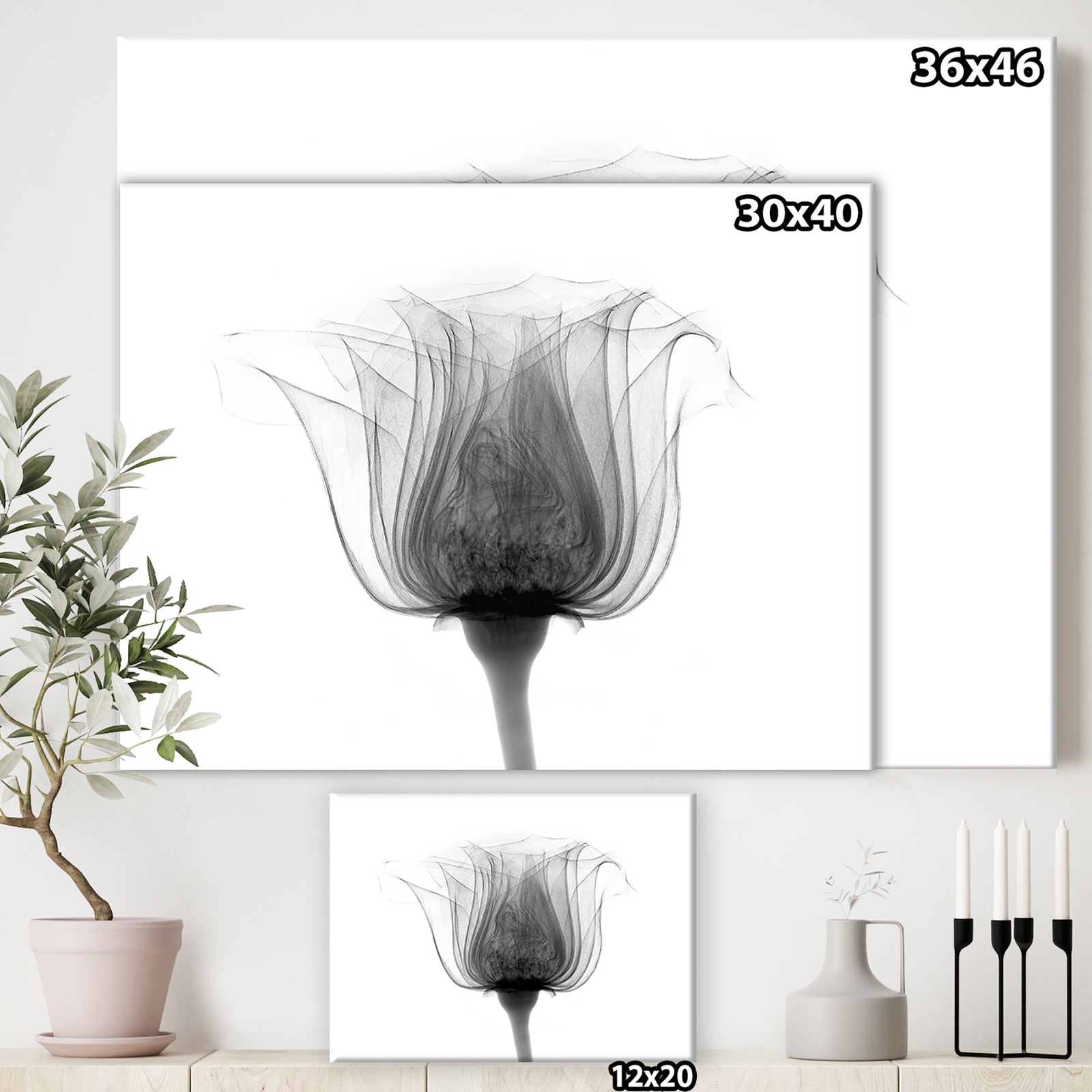 Rose ,Noma X-Ray - Cottage Canvas Wall Art