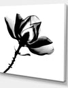 Magnolia X-Ray - Cottage Gallery-wrapped Canvas