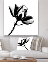 Magnolia X-Ray - Cottage Gallery-wrapped Canvas