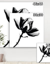 Magnolia X-Ray - Cottage Gallery-wrapped Canvas