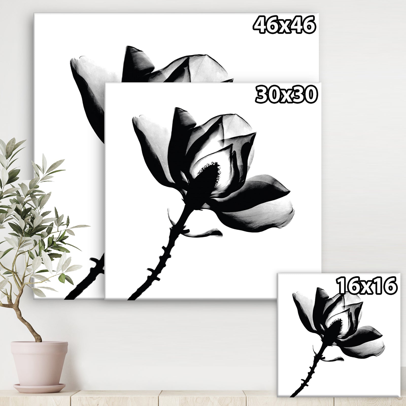 Magnolia X-Ray - Cottage Gallery-wrapped Canvas