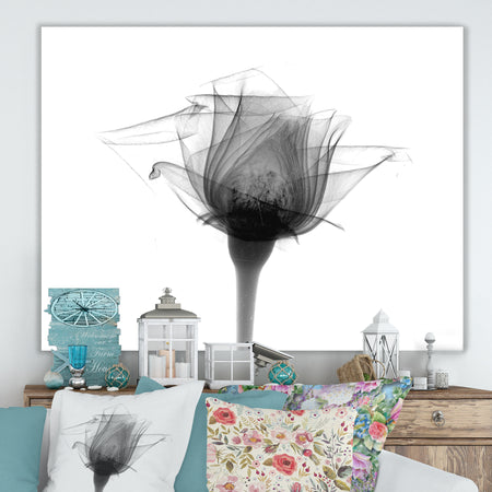 Rose #10 X-Ray - Cottage Canvas Artwork