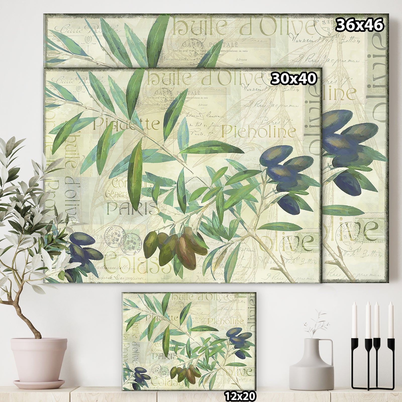 Olives Picholines - Cottage Canvas Wall Art