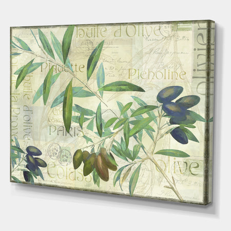 Olives Picholines - Cottage Canvas Wall Art