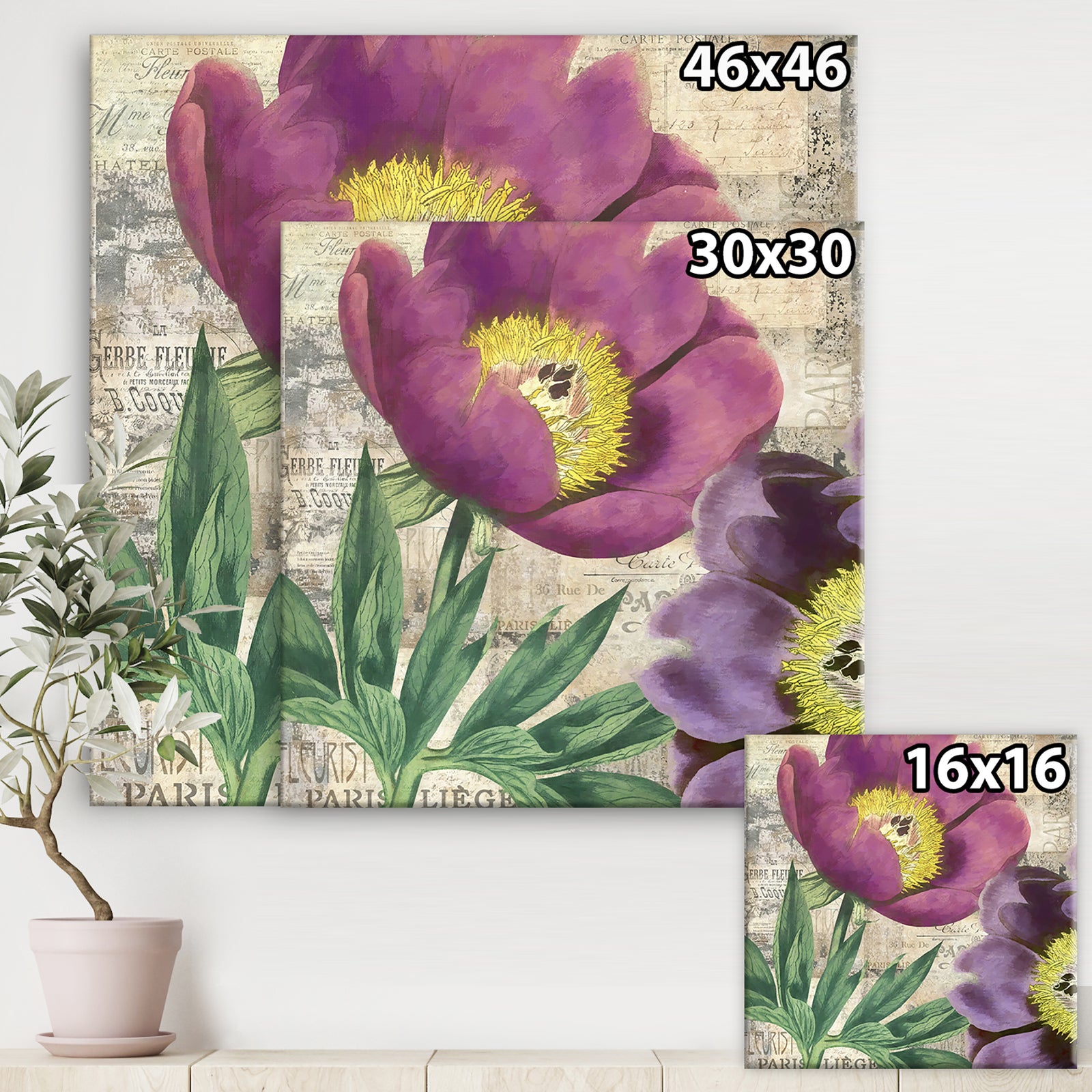 Purple Peonies - Cottage Gallery-wrapped Canvas