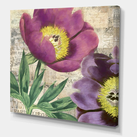 Purple Peonies - Cottage Gallery-wrapped Canvas