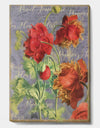 Red Poppies - Cottage Canvas Artwork