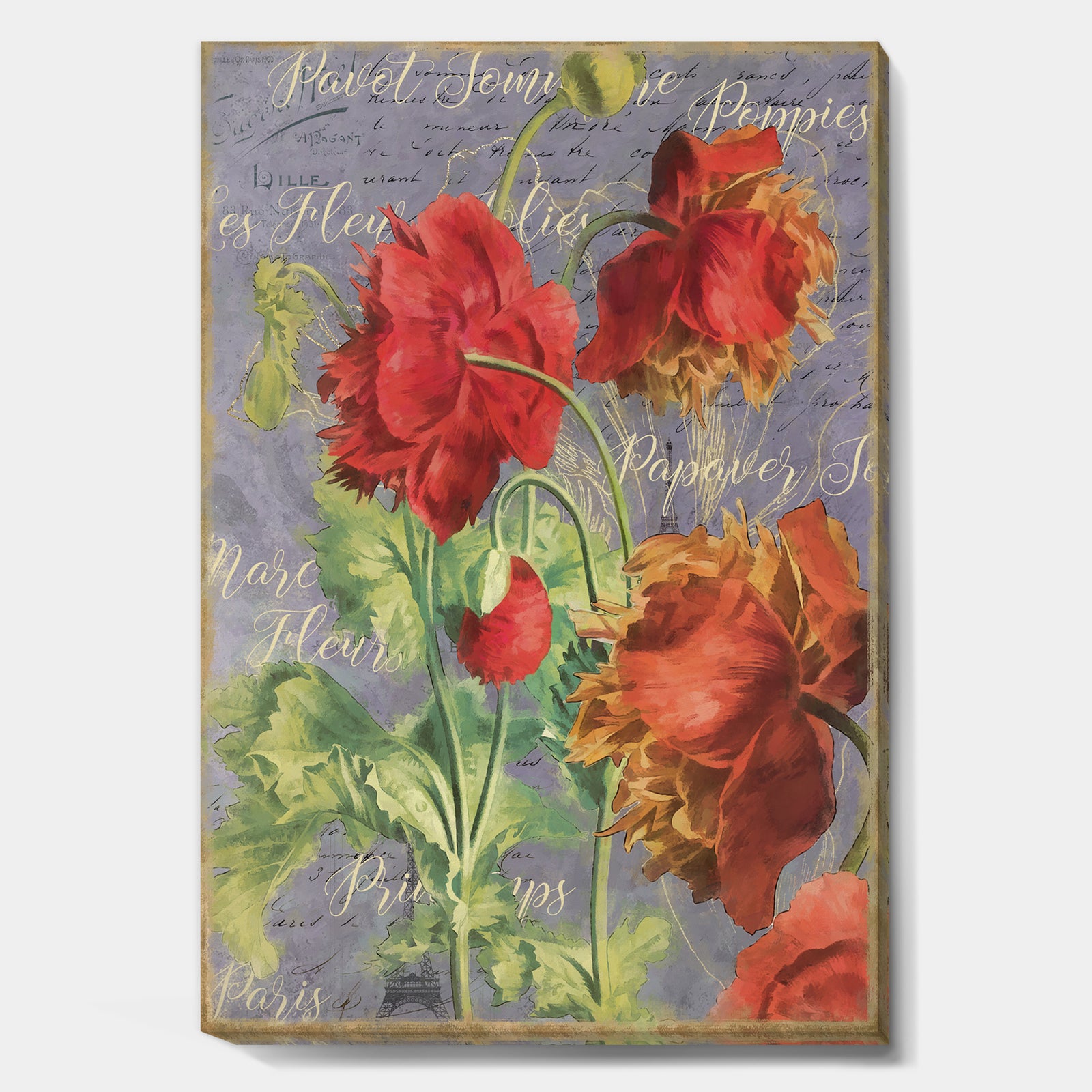 Red Poppies - Cottage Canvas Artwork