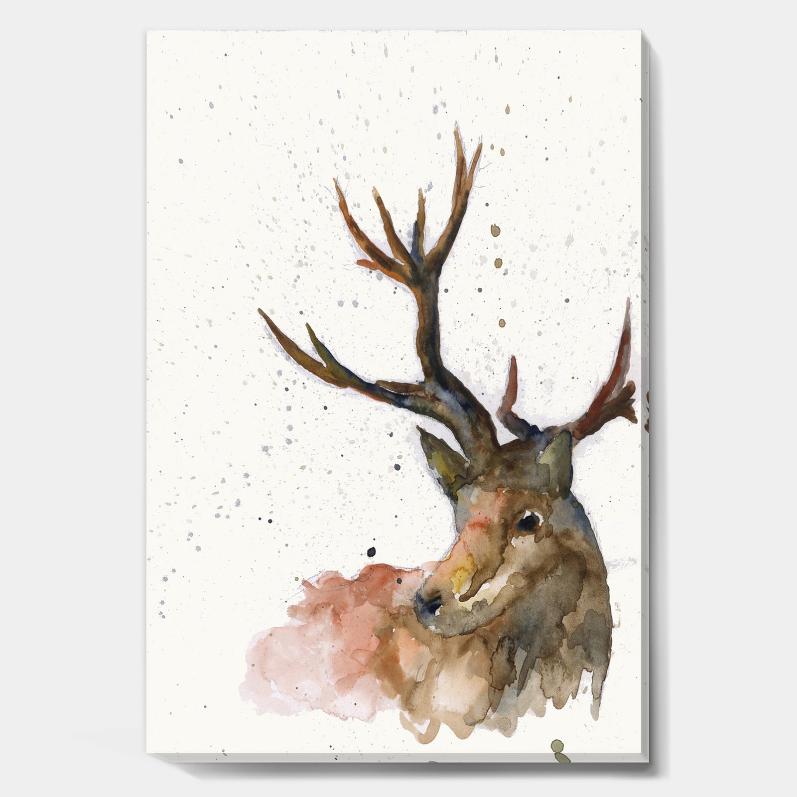 Deer on White - Cottage Canvas Wall Art