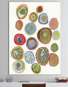 Circular Composition II - Mid-Century Modern Canvas Artwork