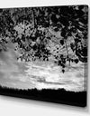 Sundown Square B&W - Cottage Premium Canvas Wall Art