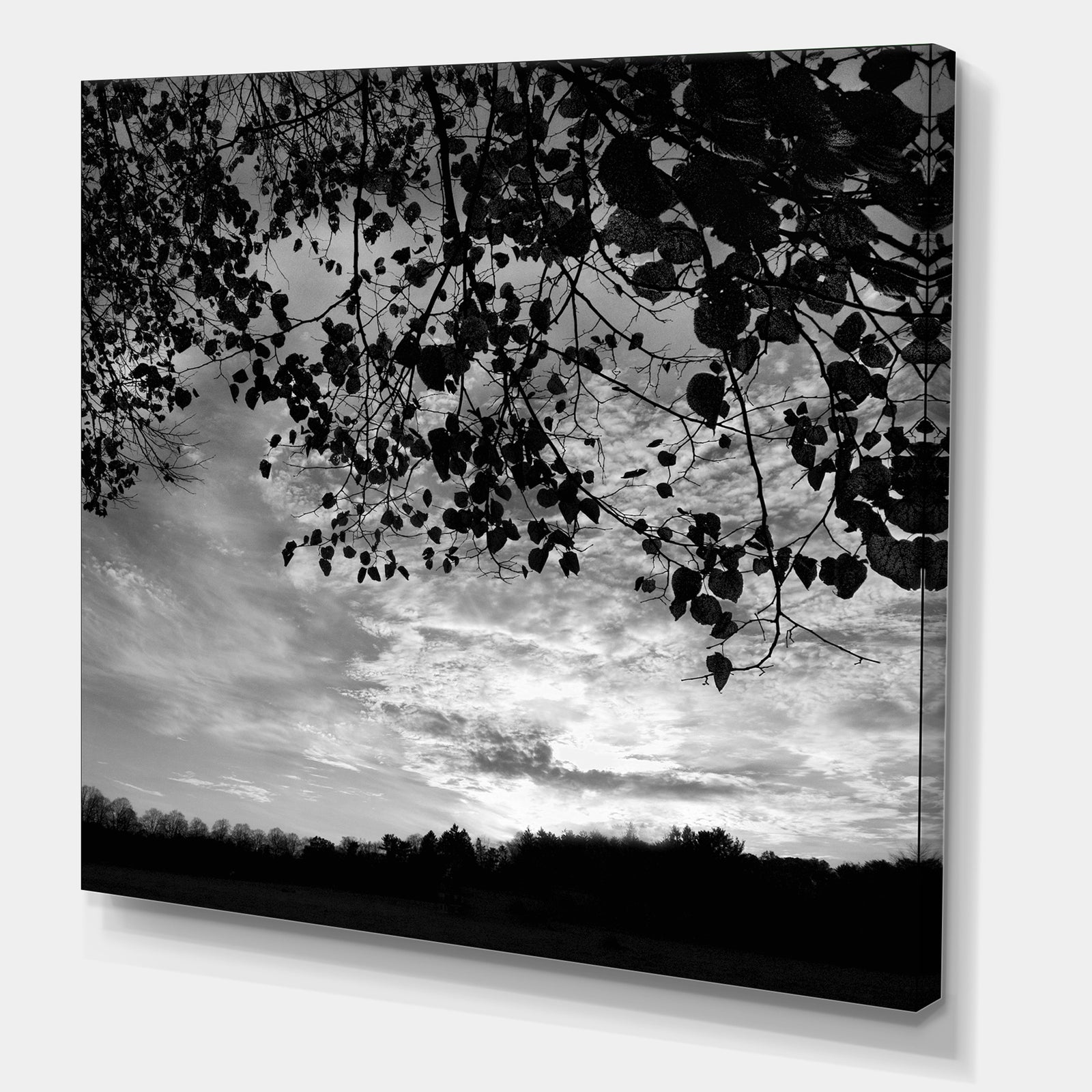 Sundown Square B&W - Cottage Premium Canvas Wall Art