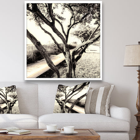 Sunshine At The Beach - Cottage Canvas Art Print