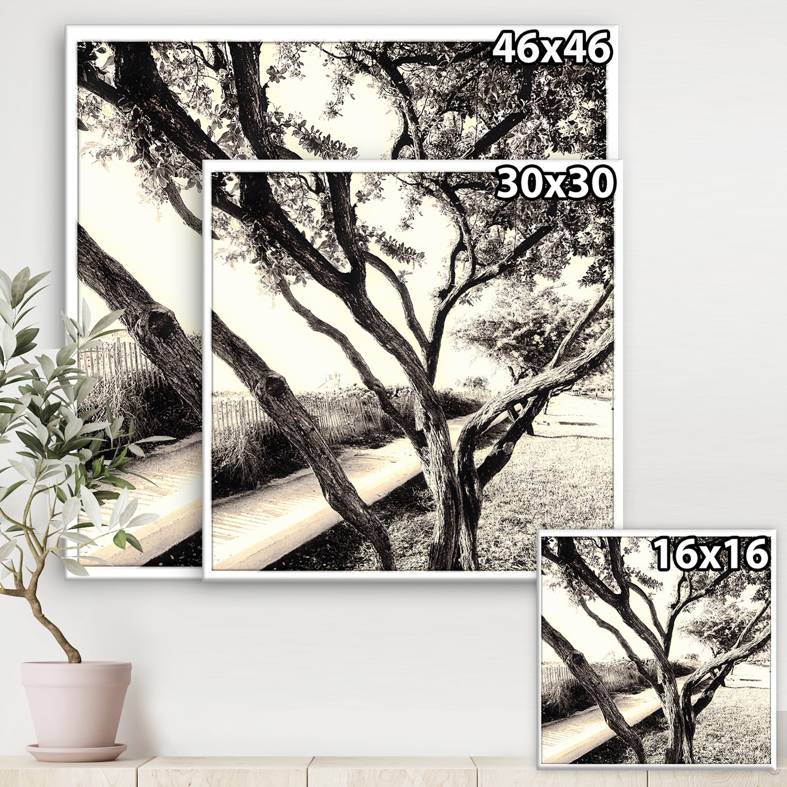 Sunshine At The Beach - Cottage Canvas Art Print