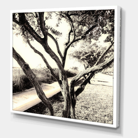 Sunshine At The Beach - Cottage Canvas Art Print