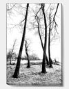 Group Of Winter - Cottage Gallery-wrapped Canvas