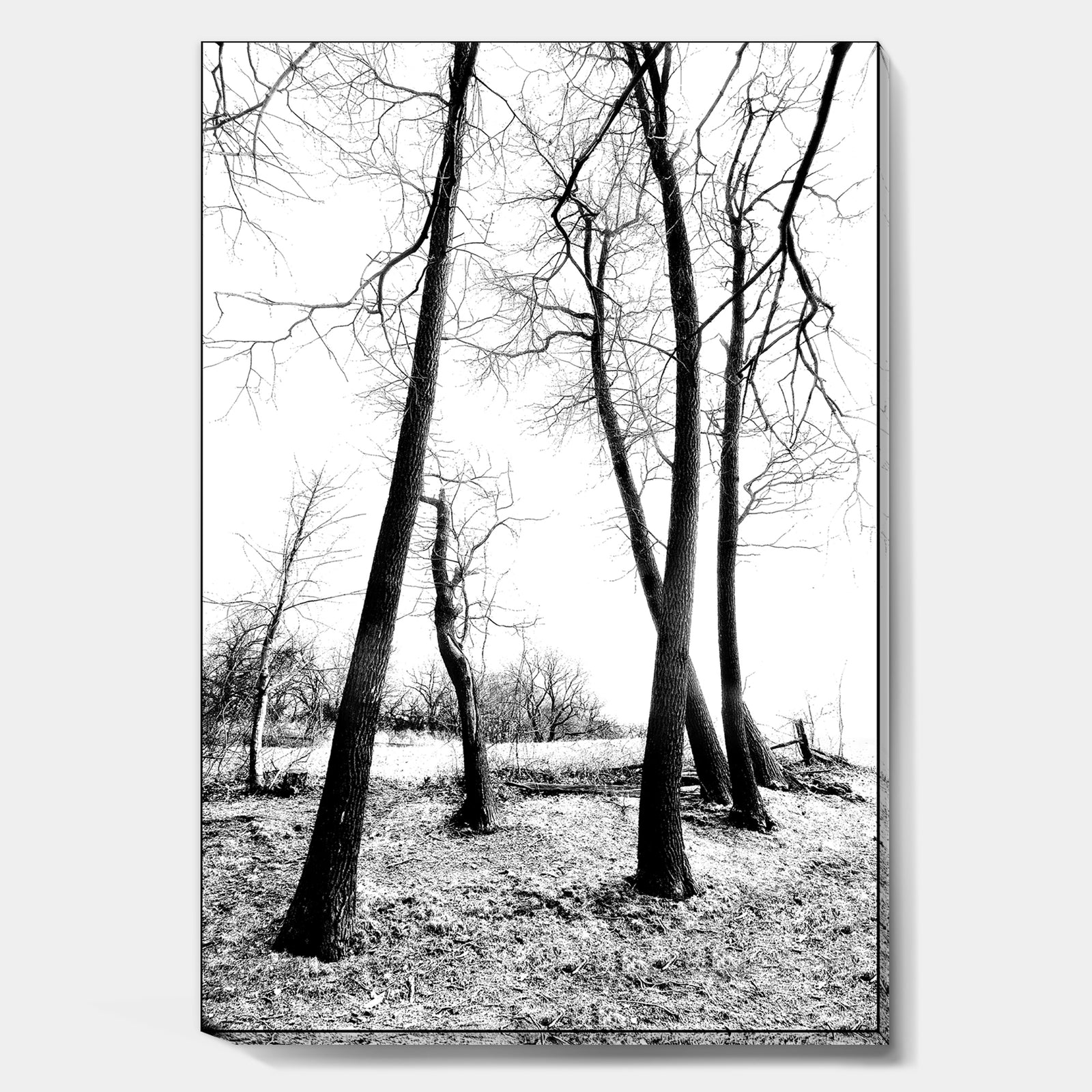 Group Of Winter - Cottage Gallery-wrapped Canvas