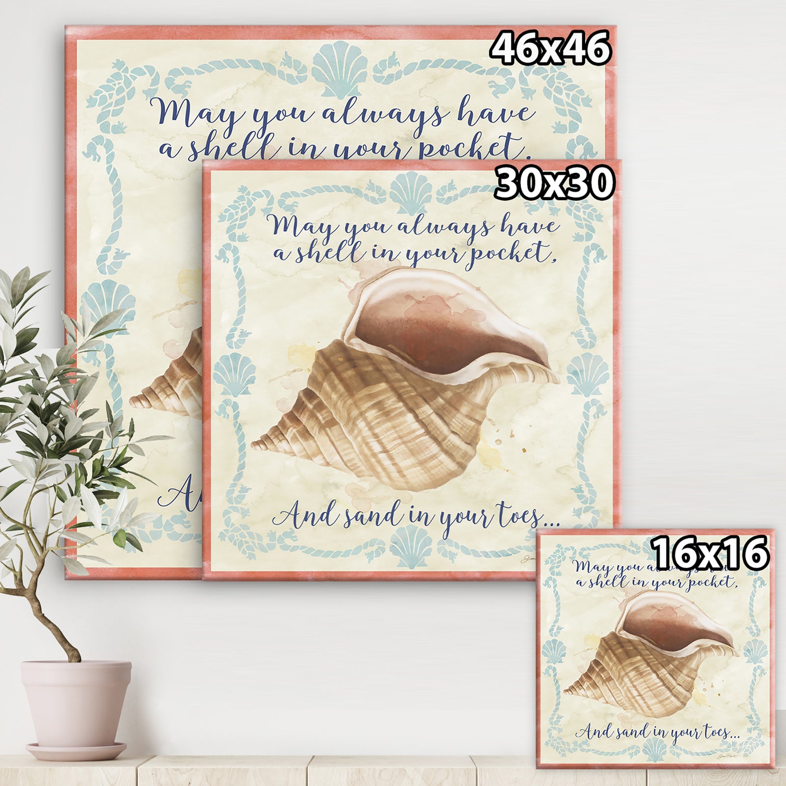 Sea Shells-B - Nautical & Coastal Gallery-wrapped Canvas